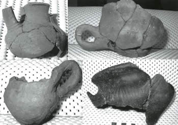 praistorijski nalazi iz kapljeve