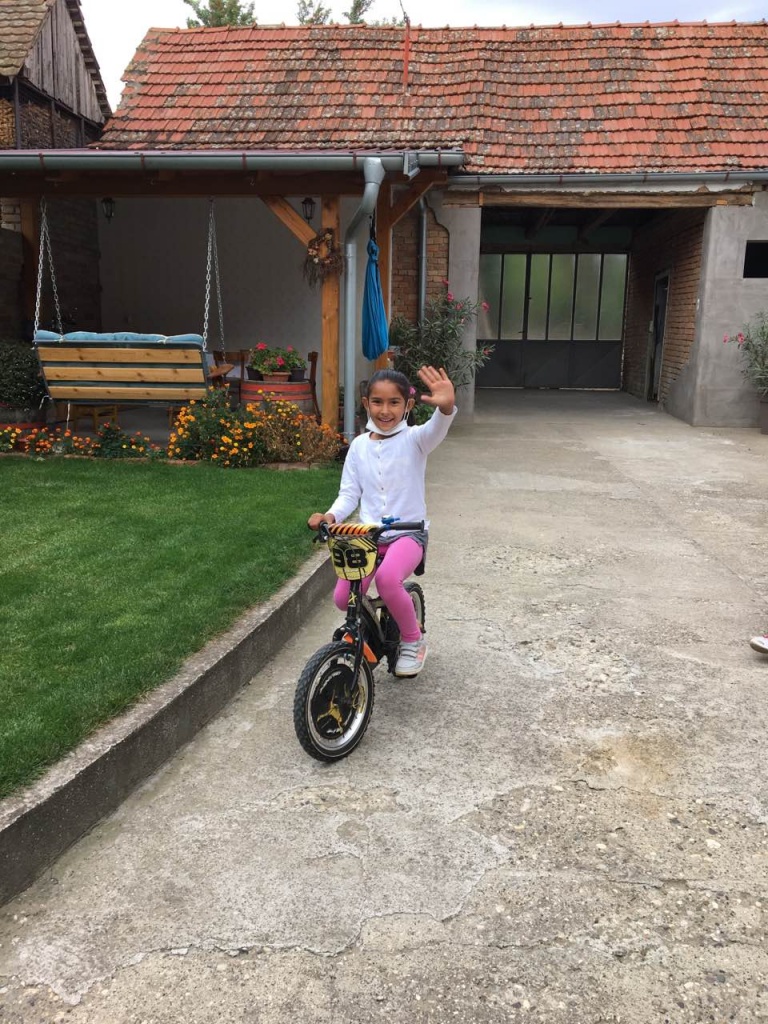 IMG 2e46ad7011fd9dc056628e93ca0a5720 V